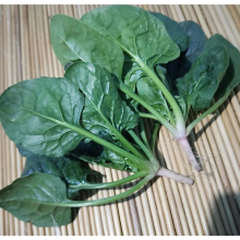 菠菜新鲜 农家露天种植应季小蔬菜3斤